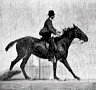 Séquence animée de Saut d'un cavalier.