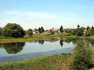 Mužilovčica