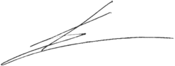 signature de Mykola Kateryntchouk