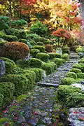 Le jardin