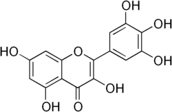 Image illustrative de l’article Myricétine