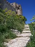 photographie couleurs : un escalier dans la verdure