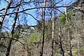 Vue sur la Pravčická brána (arche de Prebisch) à travers les arbres.