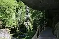 Un chemin aménagé dans le parc.