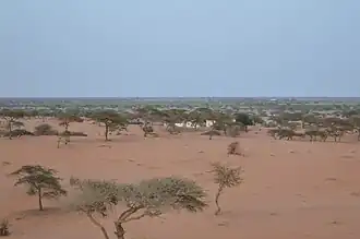 N'Guelakh