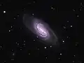 NGC 2903 par Adam Block (Observatoire du mont Lemmon/Université de l'Arizona).