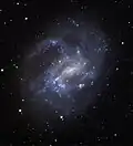 NGC 4395 capté par le télescope Shulman de l'observatoire du mont Lemmon de l'université de l'Arizona. (Adam Block)