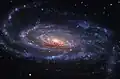 NGC 5033 par Adam Block (Observatoire du mont Lemmon/Université de l'Arizona).