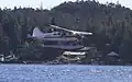 N952DB, le DHC-2 Beaver impliqué dans l'accident, ici en septembre 2015.}}