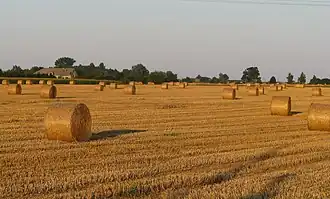Nagórki Dobrskie