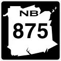 B875