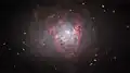 NGC 1705 imagée par le télescope spatial Hubble.