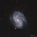 Image RGB de NGC 4051 par le Liverpool Telescope de Garafía, aux Îles Canaries.