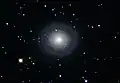 NGC 7217 imagée par un astronome amateur (astrophotographie).