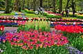 Le jardin de Keukenhof. Très visité, il est le plus grand parc floral au monde.