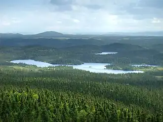 Forêt boréale du parc national de Terra Nova, centre de Terre-Neuve (vue depuis Ochre Hill).