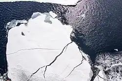 Photographie montrant de la glace de mer au pôle Nord.