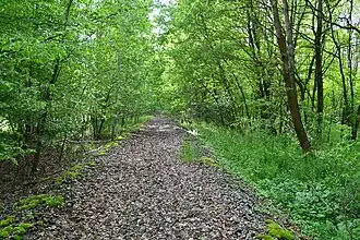 Garstedt