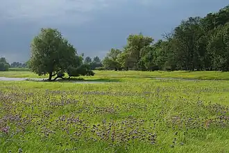 Bleyen-Genschmar