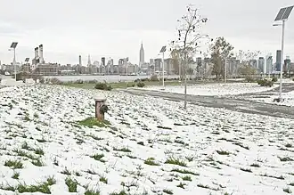 Le parc en hiver