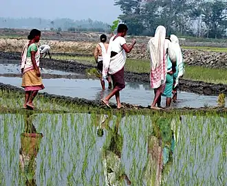 District de Nagaon