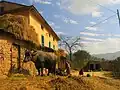 Une maison et une vache