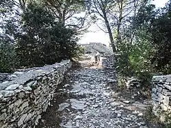 Réseau des rues