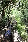 Le canal à proximité du kibboutz d'Hukok