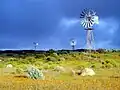 Namaqualand au Cap-Occidental.