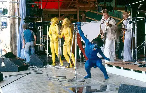 Concert de The Plague à Nambassa en 1979.