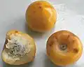 Fruit de Byrsonima crassifolia