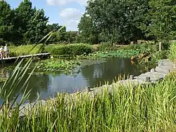 Le bayou américain