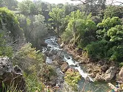 La rivière Nartuby près de la Motte.