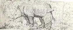L'animal possède une corne de licorne mais est entravé.