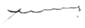Signature de Salvador Nasralla