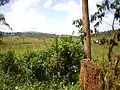 Paysage à Kayanza