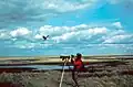 Photographe animalier, exerçant en milieu naturel.