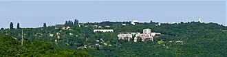 Naoutchnyï