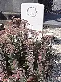 Tombe de guerre de la CWGC.