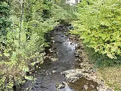 La Naute au pont de la RD 75a, à Saint-Fiel.