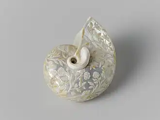 Coquille de Nautile sculptée de décorations florales.