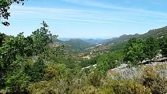 Navezuelas