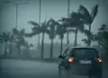Pluie dans Palm beach