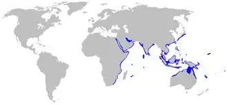 Description de l'image Nebrius_ferrugineus_distmap.png.
