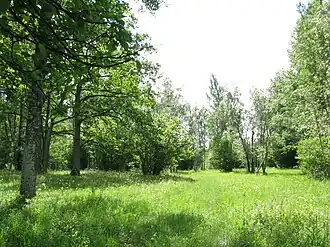 Réserve de Nedrema.