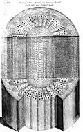 Section d'une tige de vigne (Anatomy of Plants)