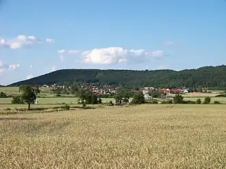 Nepřevázka