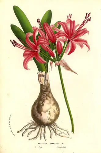 Description de cette image, également commentée ci-après