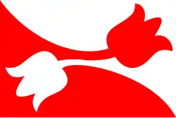 Drapeau de Nes