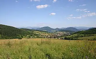 Nesluša